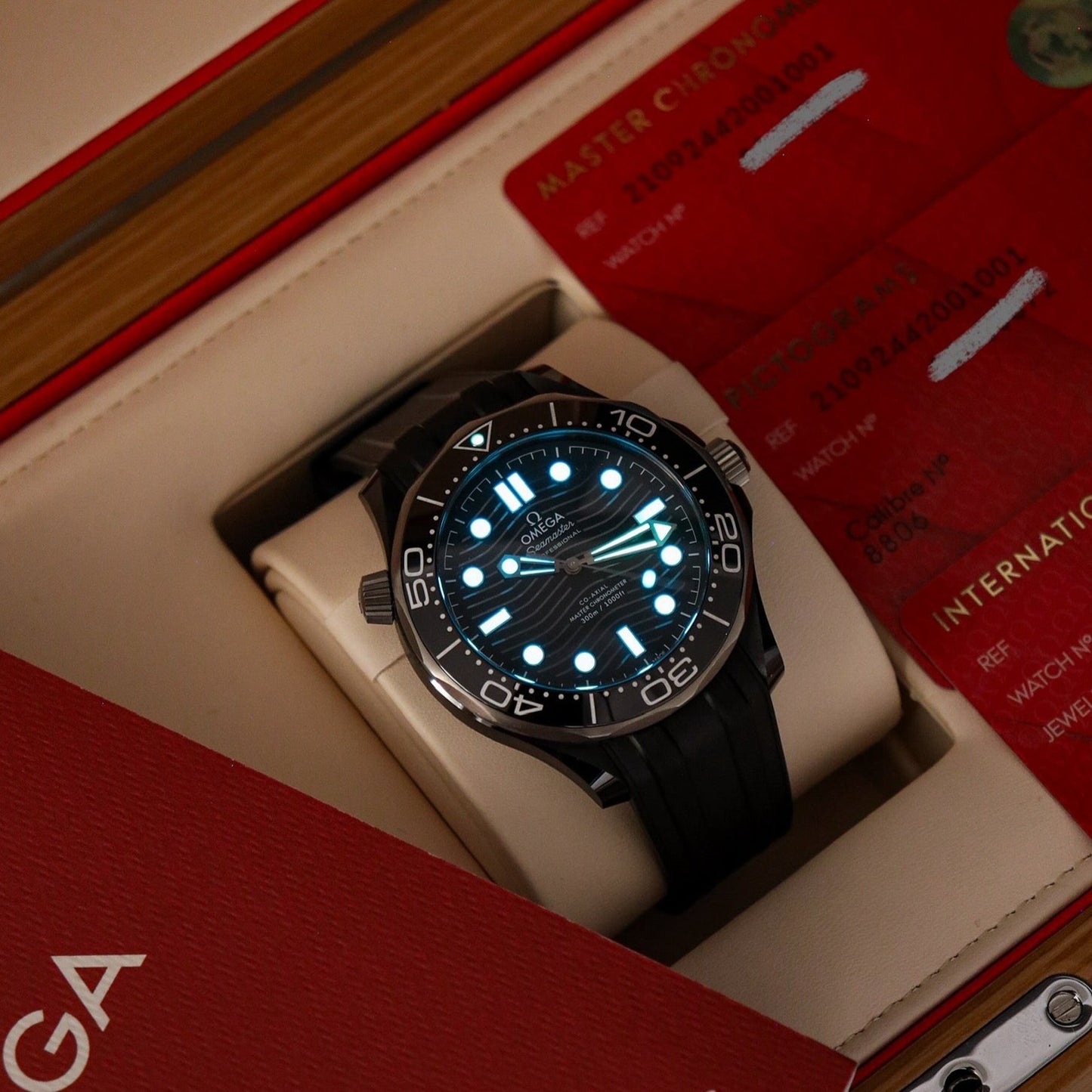 Omega Seamaster Diver 300M Black Ceramic Black Dial 210.92.44.20.01.001